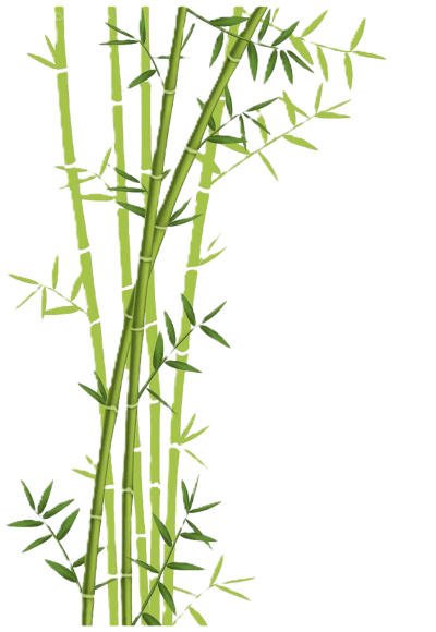 bamboo1