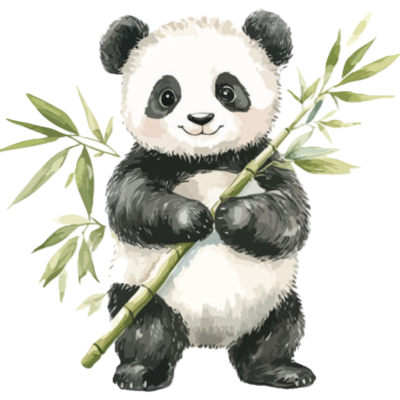 panda1